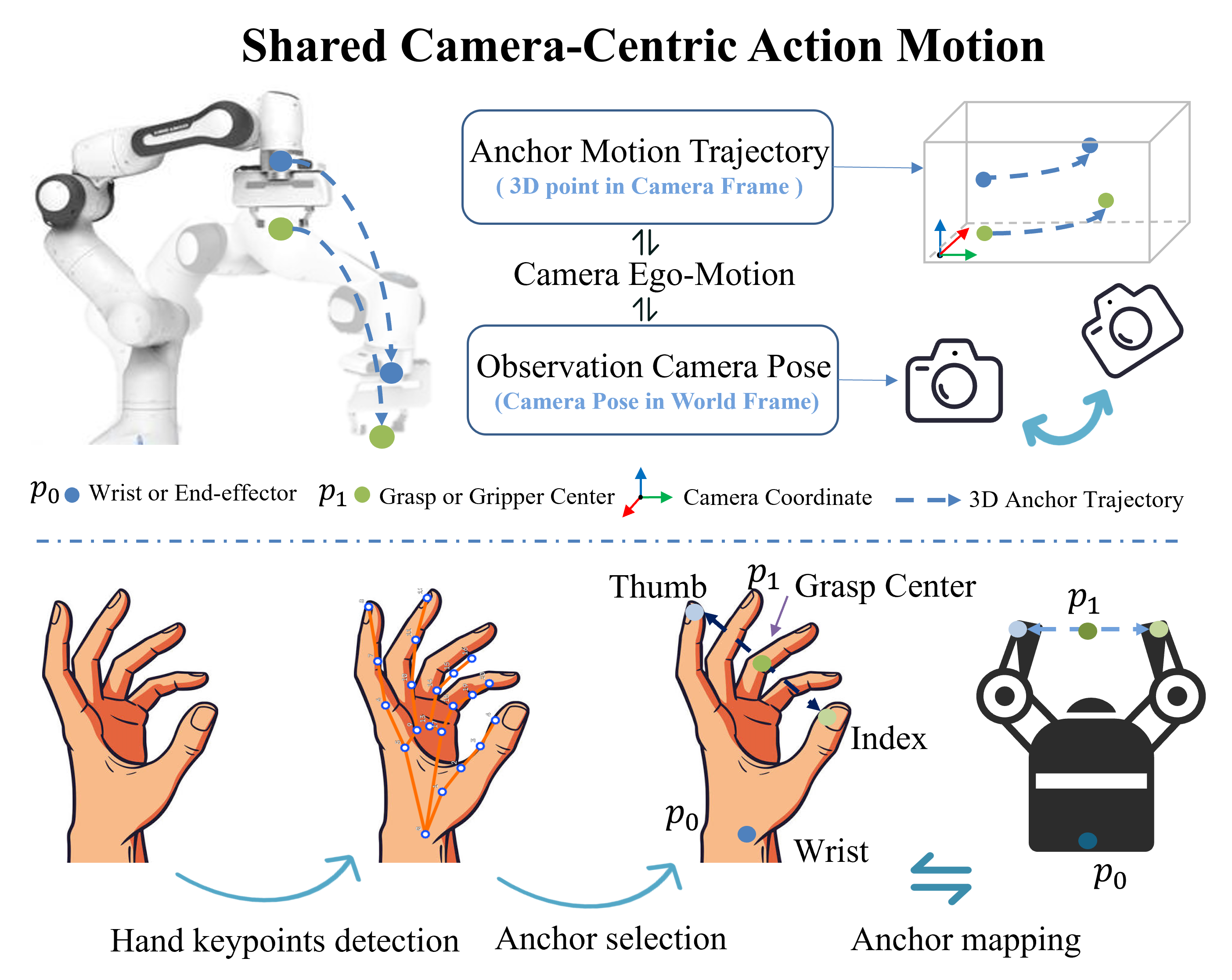 Shared camera-centric action space across robot and human embodiments
